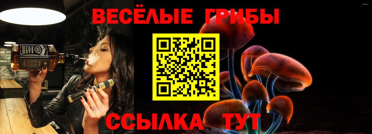Псилоцибиновые грибы Cubensis Ирбит